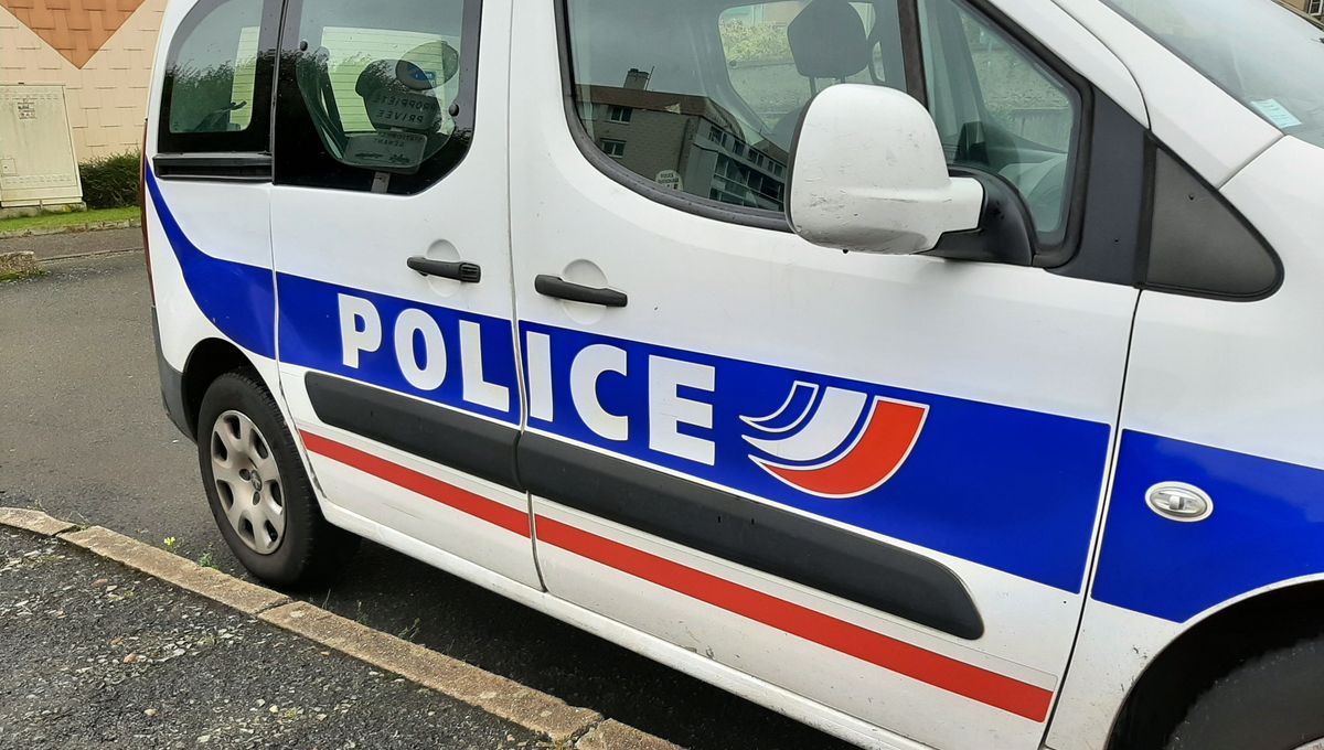 illustration agrandir l'image